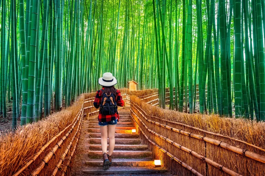 n7h7p3j1hqi7vq151wsqo209uxka arashiyama 1