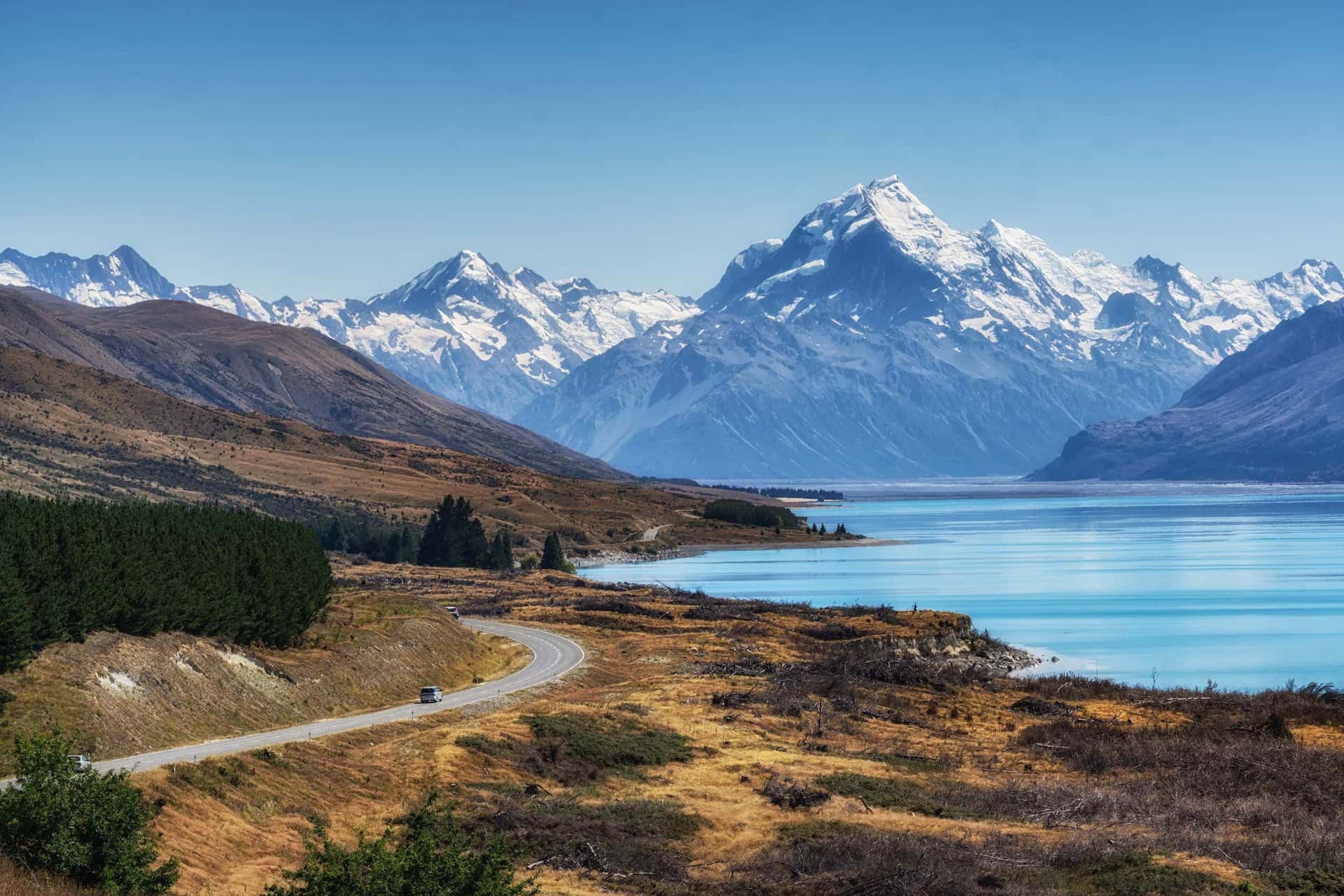 EXCITING NEW ZEALAND ESCAPE